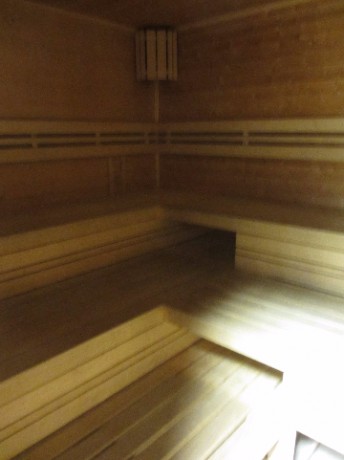 sauna 2